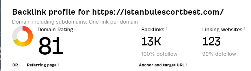 Domain Gücü DR Seo İçin Önemli mi?